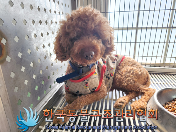 한국동물구조관리협회_411310202300141